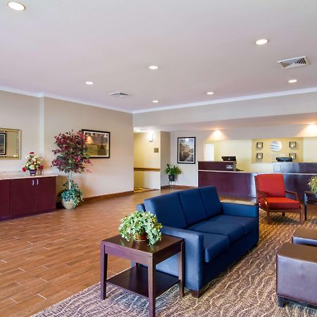 Comfort Inn Blackshear Hwy 84 Eksteriør billede