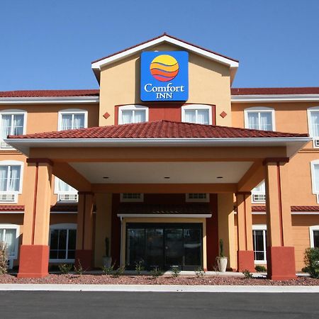 Comfort Inn Blackshear Hwy 84 Eksteriør billede
